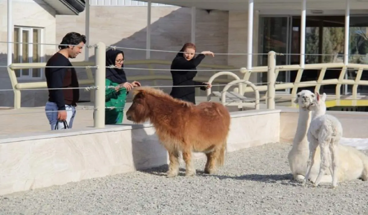 حمله شدید خرس‌ها در باغ وحش اصفهان