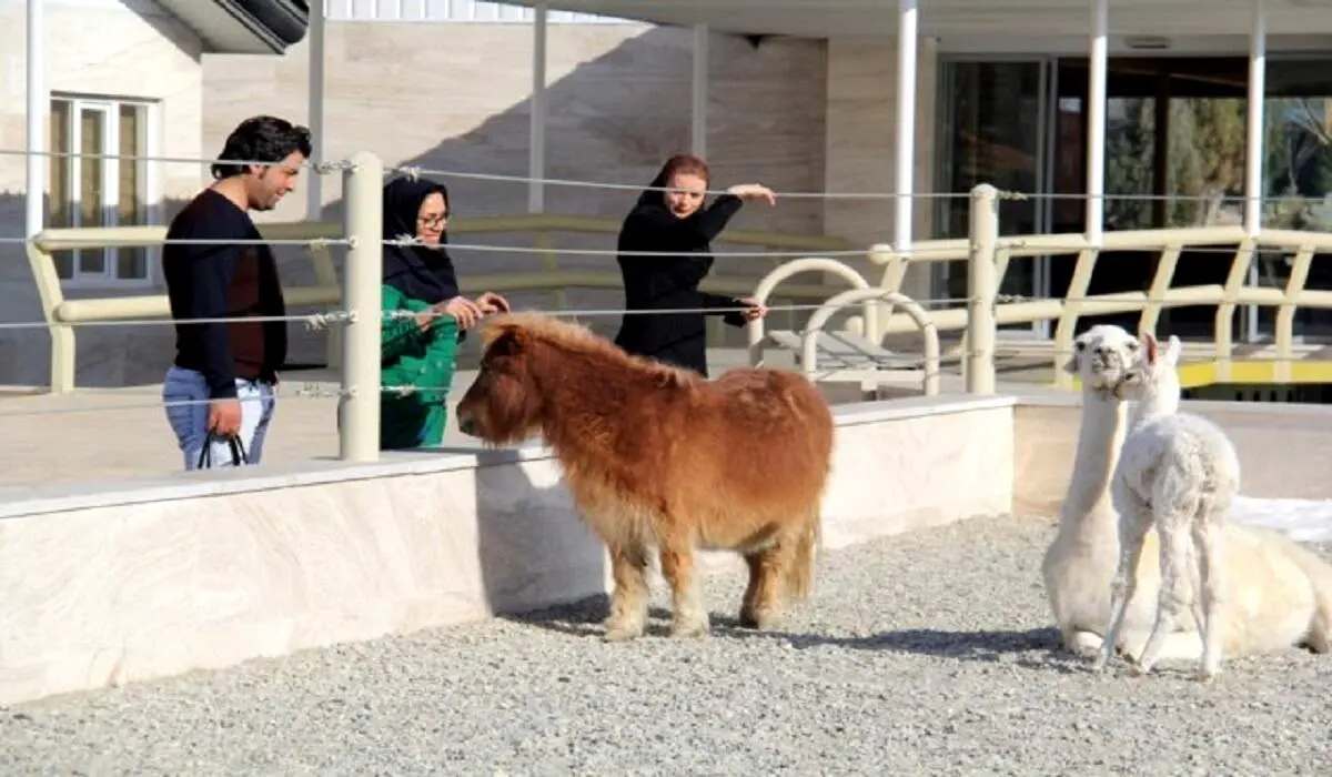 حمله شدید خرس‌ها در باغ وحش اصفهان