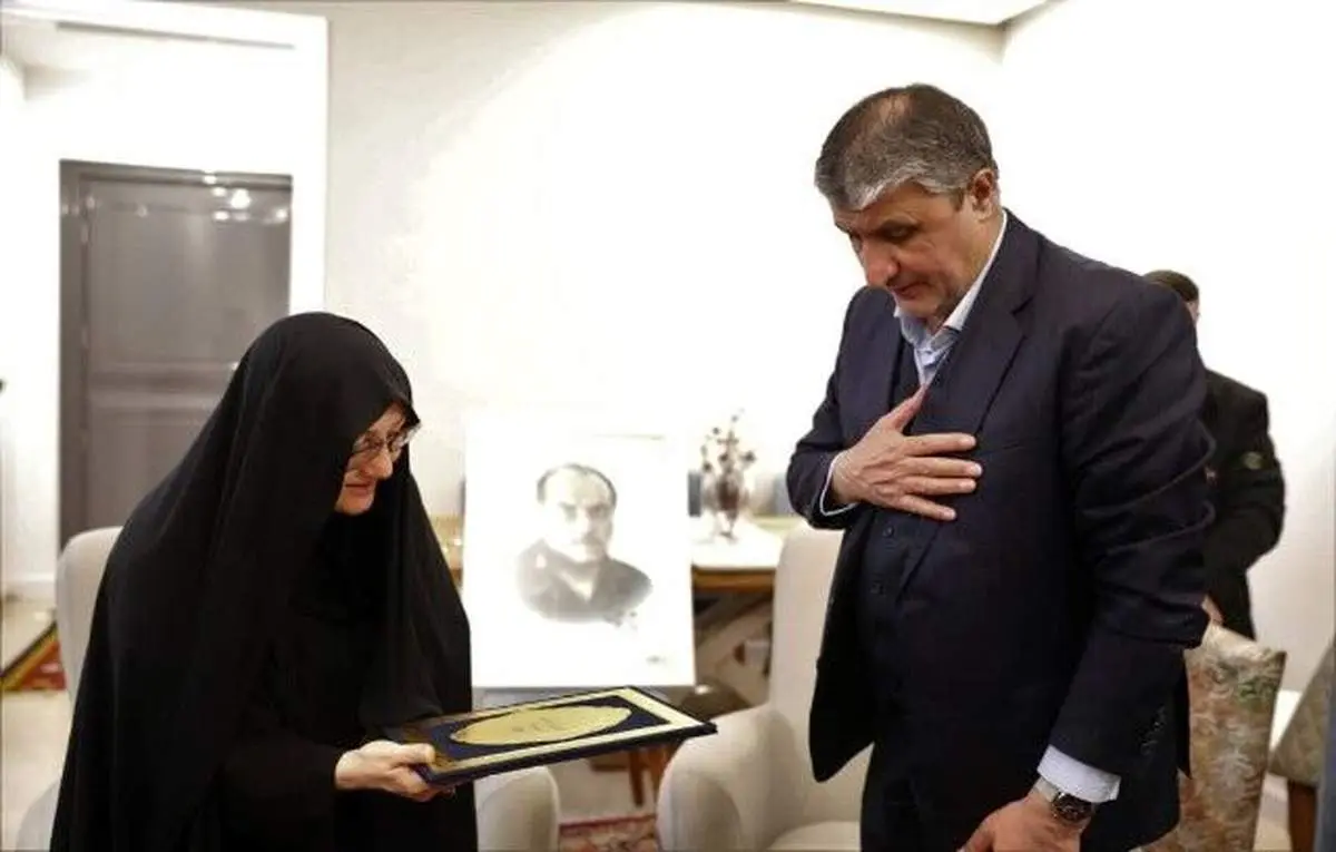 سازمان انرژی اتمی جایی نیست که سیاسی اداره شود/ هیچ امکاناتی را رایگان به ما نمیدهند