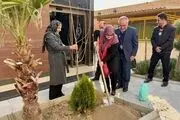 سخنگوی دولت: باید از اعتماد مردم بیشتر حراست کنیم 