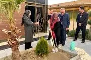 سخنگوی دولت: باید از اعتماد مردم بیشتر حراست کنیم 
