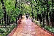عکس از تجمع اعتراضی مردم در پارک قیطریه + ببینید 