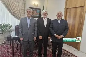عکس معنادار از ظریف، عارف و طیب نیا + ببینید 