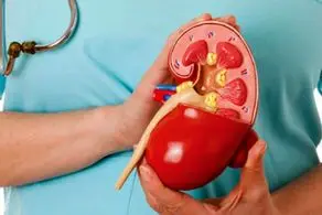 آگهی معاوضه یک کلیه سالم با یک چیز عجیب+ عکس