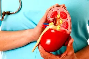 آگهی معاوضه یک کلیه سالم با یک چیز عجیب+ عکس