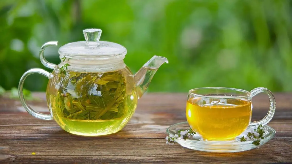 این دمنوش گیاهی در اول صبح برایتان معجره می کند!