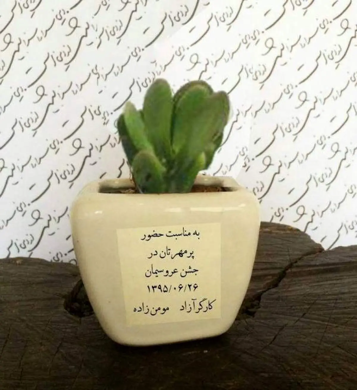 کارت دعوت عجیب و جنجالی عروس داماد ایرانی!