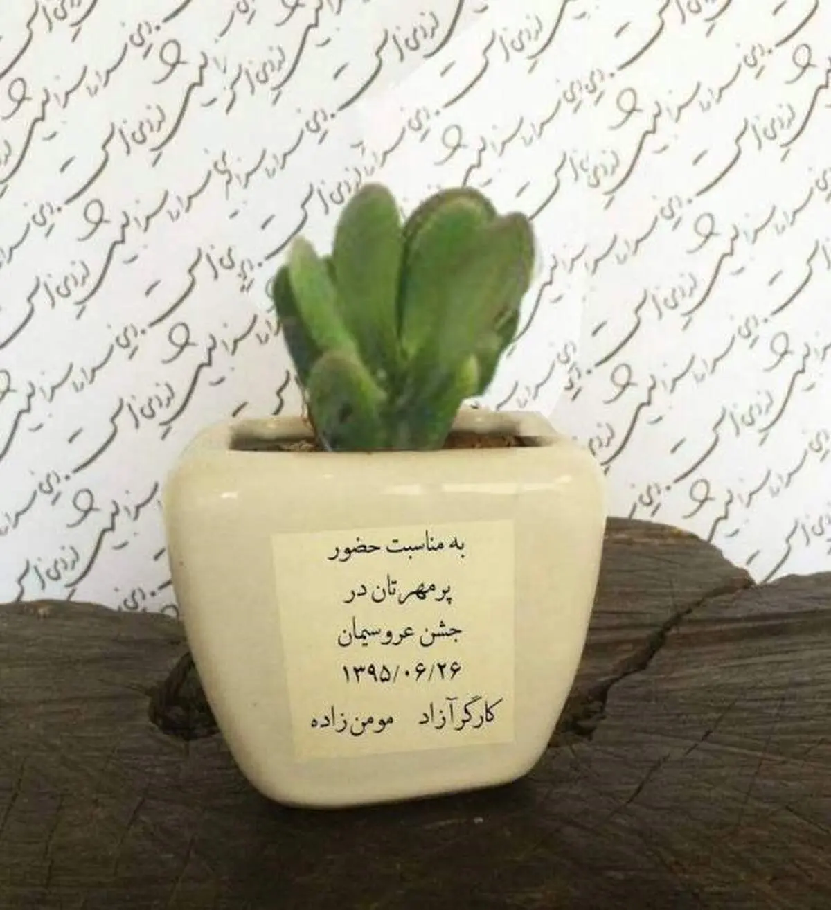 کارت دعوت عجیب و جنجالی عروس داماد ایرانی!