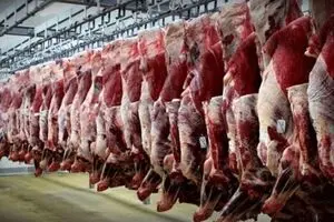 تغییر قیمت مرغ و گوشت بعد از جنگ