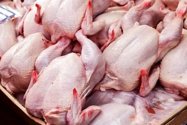 قیمت مرغ گرم در میادین میوه و تره بار امروز ۱۳ مهر ۱۴۰۴