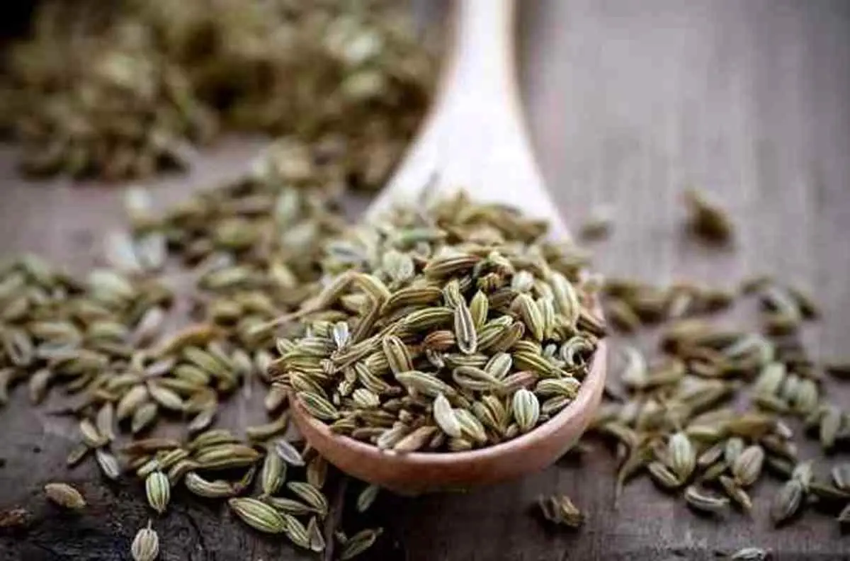 با این گیاه هرگز پیر نمیشوید