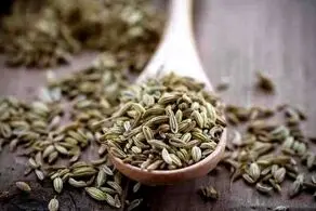 با این گیاه هرگز پیر نمی‌شوید