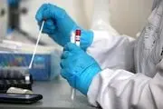 کرونای جهش یافته شدن تست منفی یک مسافر امارات در قشم !