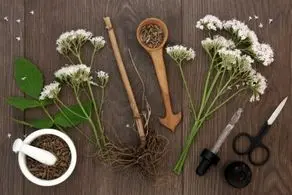 برای رفع ناراحتی های عصبی این گیاه را بخورید