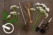 برای رفع ناراحتی های عصبی این گیاه را بخورید