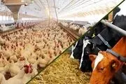 قیمت جدید دام زنده در بازار روز اعلام شد