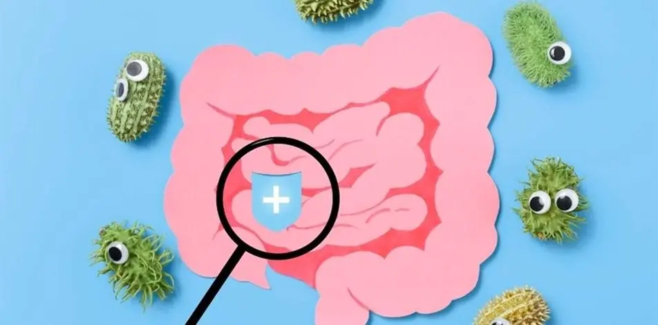 چرا در آلودگی هوا چرا تهوع می گیریم؟