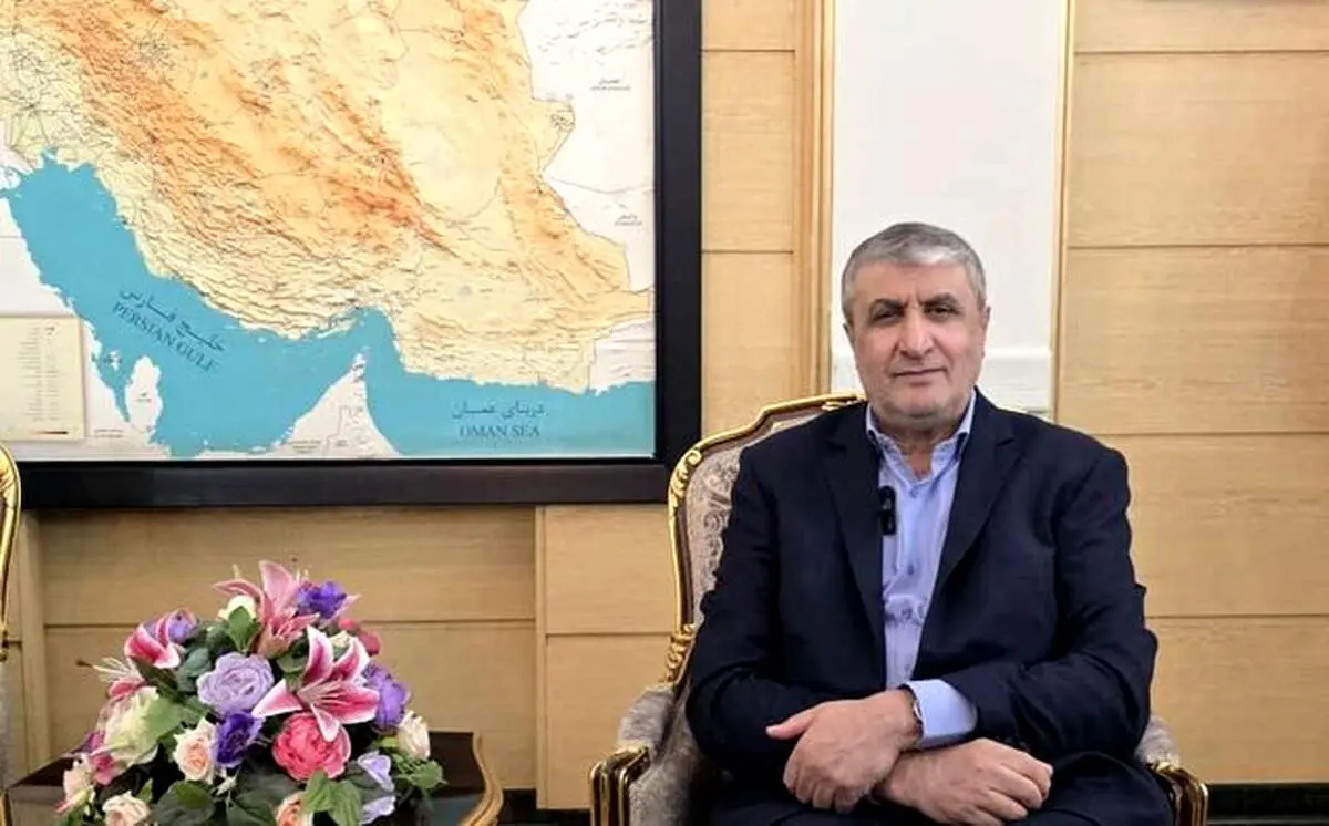 معاون بین‌الملل شرکت دولتی «روس‌اتم» با اسلامی دیدار کرد