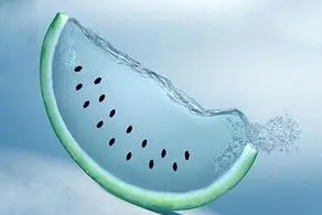صادرات روزانه ۷۰۰ کانتینر آب به ترکیه!