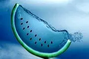 صادرات روزانه ۷۰۰ کانتینر آب به ترکیه!