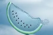 صادرات روزانه ۷۰۰ کانتینر آب به ترکیه!