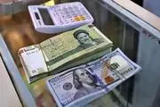 ابهام درباره مذاکرات باعث شده نرخ دلار دچار تلاطم و فشار باشد 