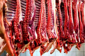 هشدار به خریداران گوشت قرمز