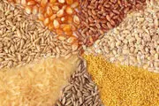 قصد داریم در ازای صادرات شیرخشک و دام زنده نهاده وارد کنیم