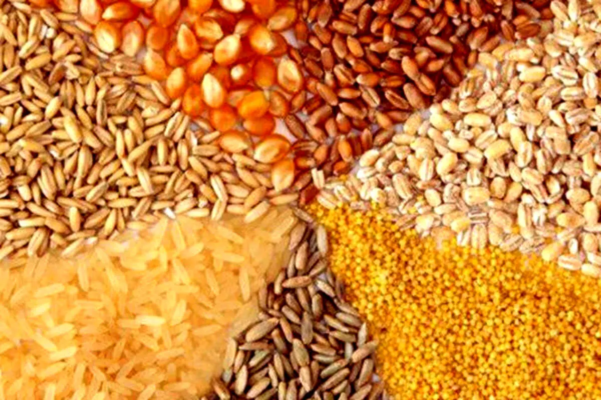 قصد داریم در ازای صادرات شیرخشک و دام زنده نهاده وارد کنیم