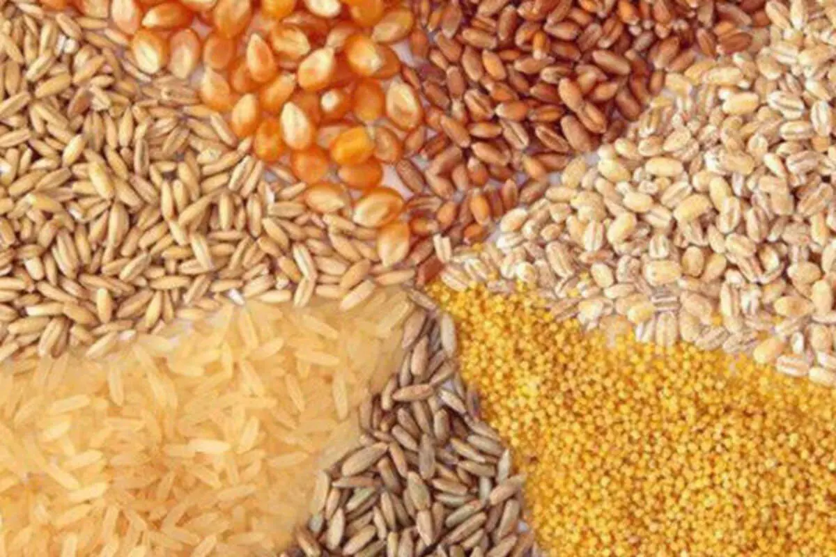قصد داریم در ازای صادرات شیرخشک و دام زنده نهاده وارد کنیم