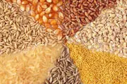 قصد داریم در ازای صادرات شیرخشک و دام زنده نهاده وارد کنیم