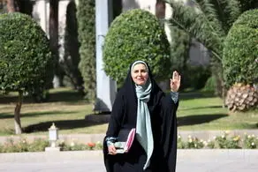 حاشیه جلسه امروز هیات دولت 