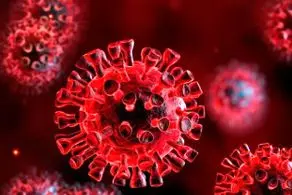 توضیحات مهم معاون بهداشت وزارت بهداشت درباره شیوع دوباره کرونا