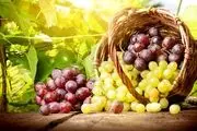 این میوه را بخورید تا دچار آلزایمر نشوید