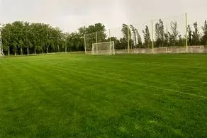 تلاش کارتال جواب داد؛ پرسپولیس به آزادی رسید
