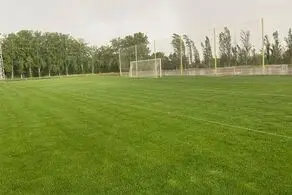تلاش کارتال جواب داد؛ پرسپولیس به آزادی رسید