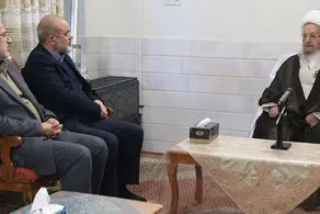 آیت الله مکارم شیرازی خطاب به وزیر کشور: درآمدهای نفتی کجاست؟