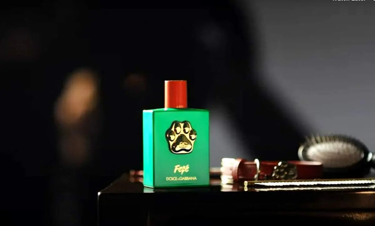 قیمت جنجالی عطر برای سگ مرفهین بی‌درد+ عکس