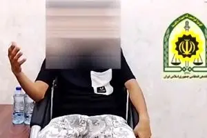 دستگیری عنصر عملیاتی تیم تروریستی وابسته به گروهک نفاق  