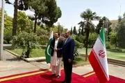 فیلم استقبال امیرعبداللهیان از وزیر خارجه پاکستان+ببینید