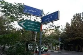 مسافر تاکسی اینترنتی با دیدن این عکس مات و مبهوت شد/ تصویر