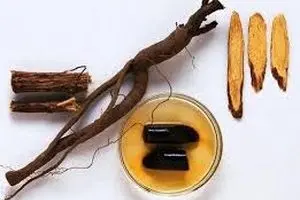 چرا بردن شیرین‌بیان به عربستان ممنوع است؟/ خواص و مضرات شیرین بیان
