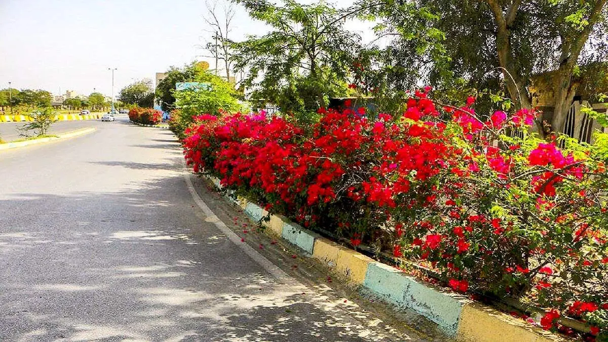گل دزدی راننده ماشین لاکچری از وسط خیابان
