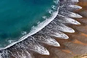 کشف یک موجود عجیب و غریب در دریا+ عکس

