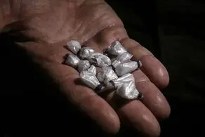 کشت کدام مواد مخدر ممنوع است؟