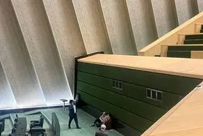دو نماینده تندرو کف زمین شکار عکاسان شدند + ببینید 