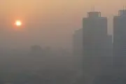 هشدار؛ مراقب این بیماری هولناک در تهران باشید!