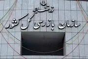 سازمان بازرسی کل کشور هشدار داد