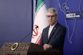 رایزنی سفیران هلند و ژاپن با اسماعیل بقائی