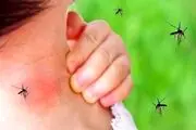آشنایی با عوارض خطرناک خاراندن محل نیش پشه 